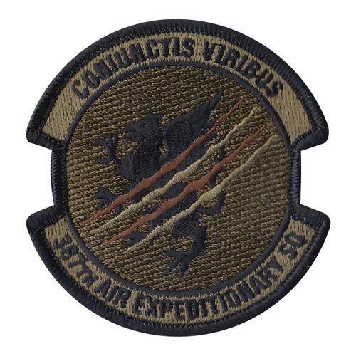 387 AES 387 AEG International Custom Patches