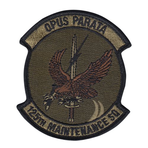 125 MXS ANG Florida Air National Guard U.S. Air Force Custom Patches