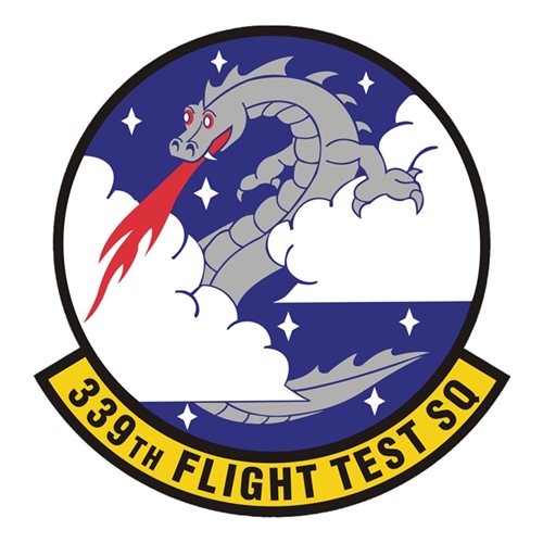339 FLTS Robins AFB, GA U.S. Air Force Custom Patches