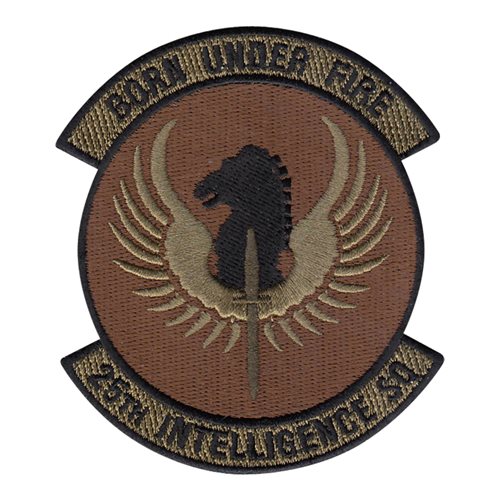 25 IS Hurlburt Field, FL U.S. Air Force Custom Patches