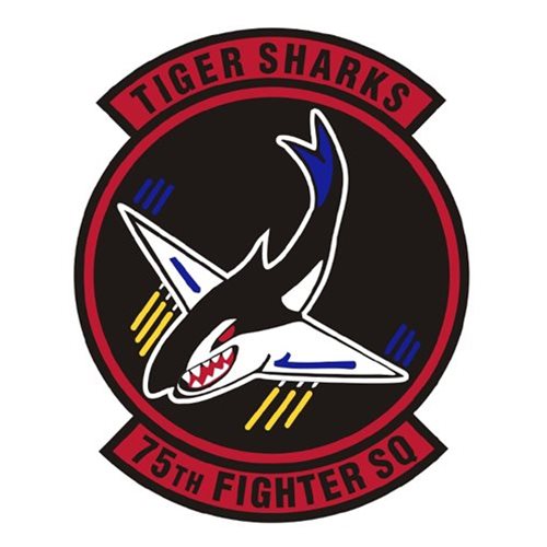 75 FS Moody AFB, GA U.S. Air Force Custom Patches