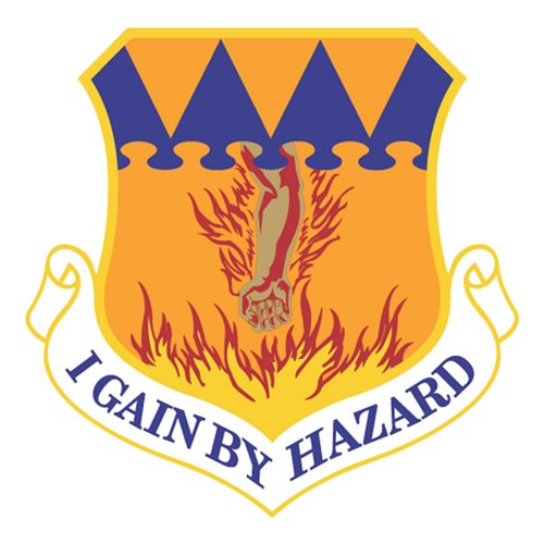 317 AW Dyess AFB, TX U.S. Air Force Custom Patches