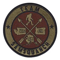Air Force Reserve Recruiting- Team McChord Flight Custom Patches
