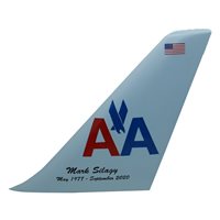 Commercial Aviation Aircraft Tail Flashes