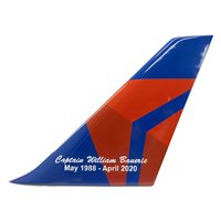 Delta Air Lines Aircraft Tail Flashes