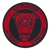 1-299 CAV Custom Patches