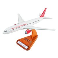 Omni Air International Custom Models 