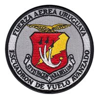 Uruguay Escudo Patches