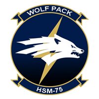 HSM-75 Patches 
