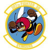 307 FS Patches