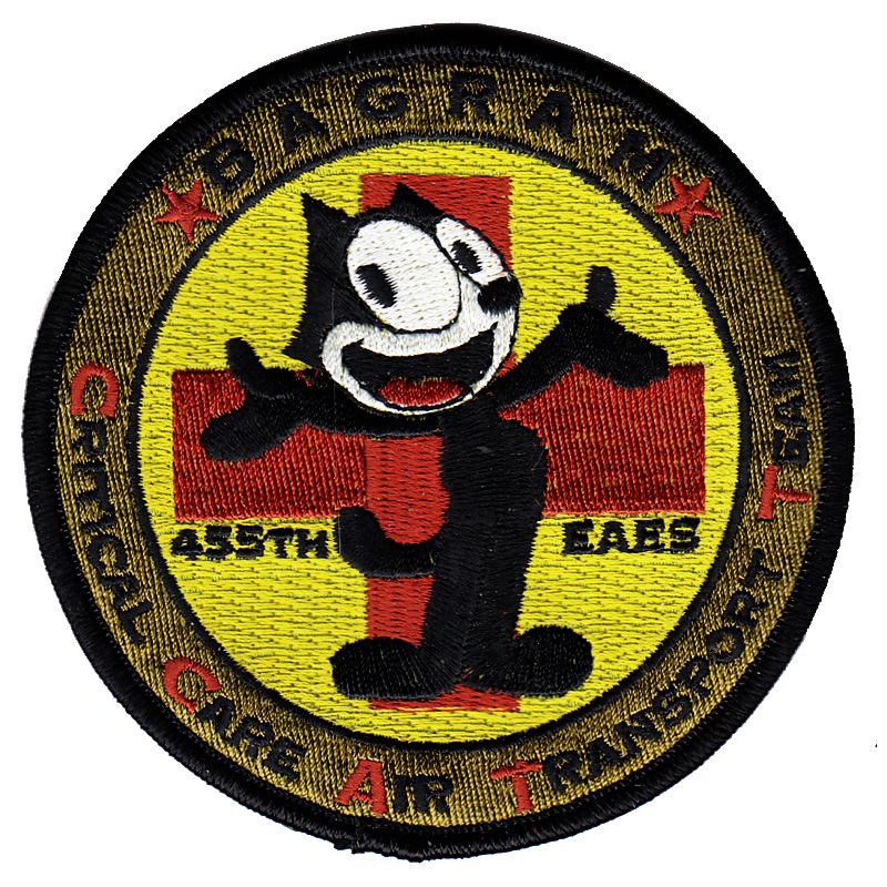 455th EAES CCATT Patch