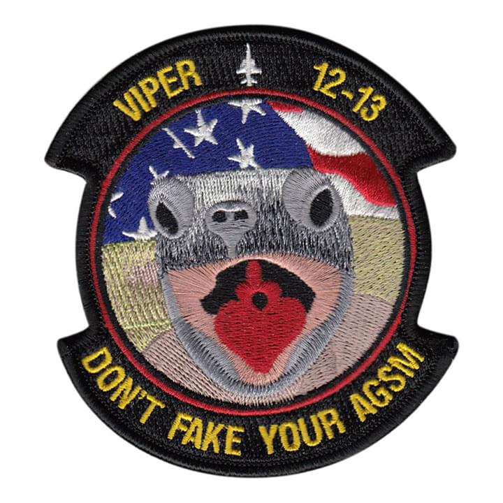 Columbus AFB SUPT 12-13 Viper