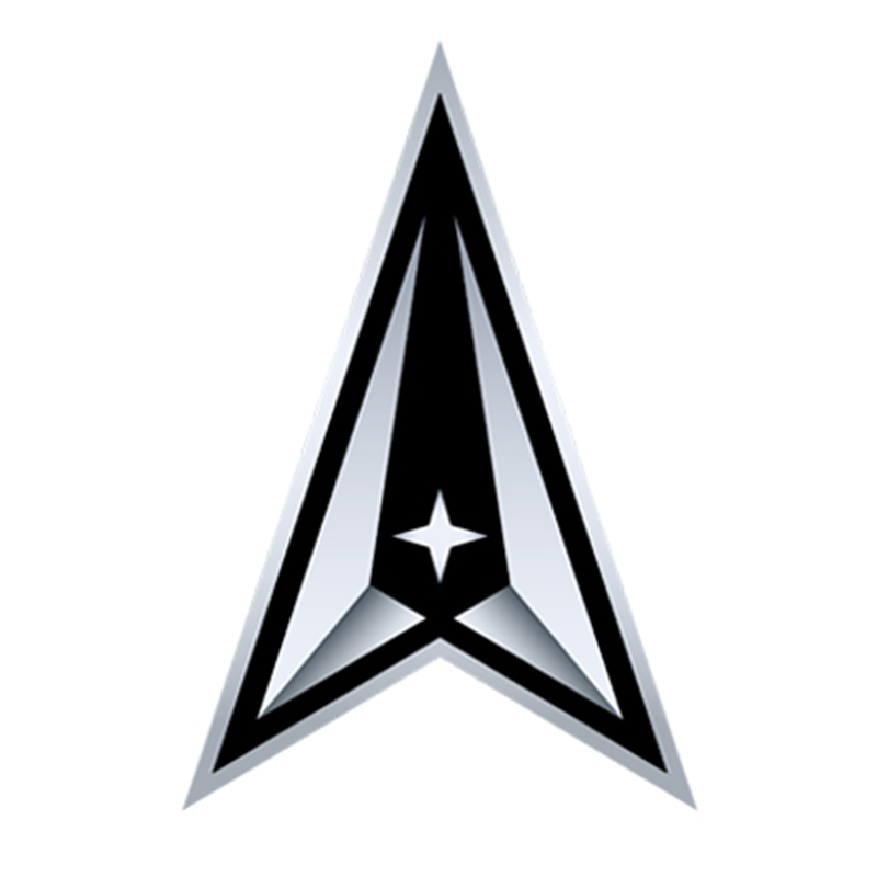 U.S. Space Force Official Licensing Logo