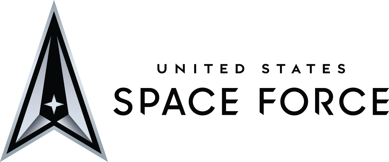 SPACE FORCE LOGO