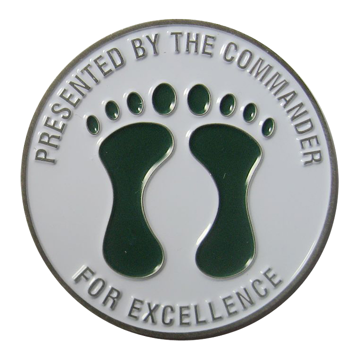 41 RQS Commander Challenge Coin Back Sample