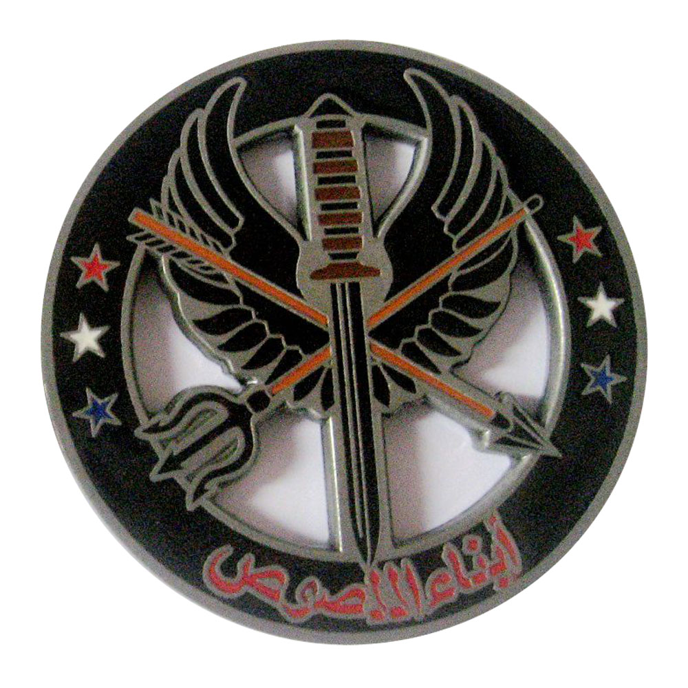 33 Special Operations SQ Coin