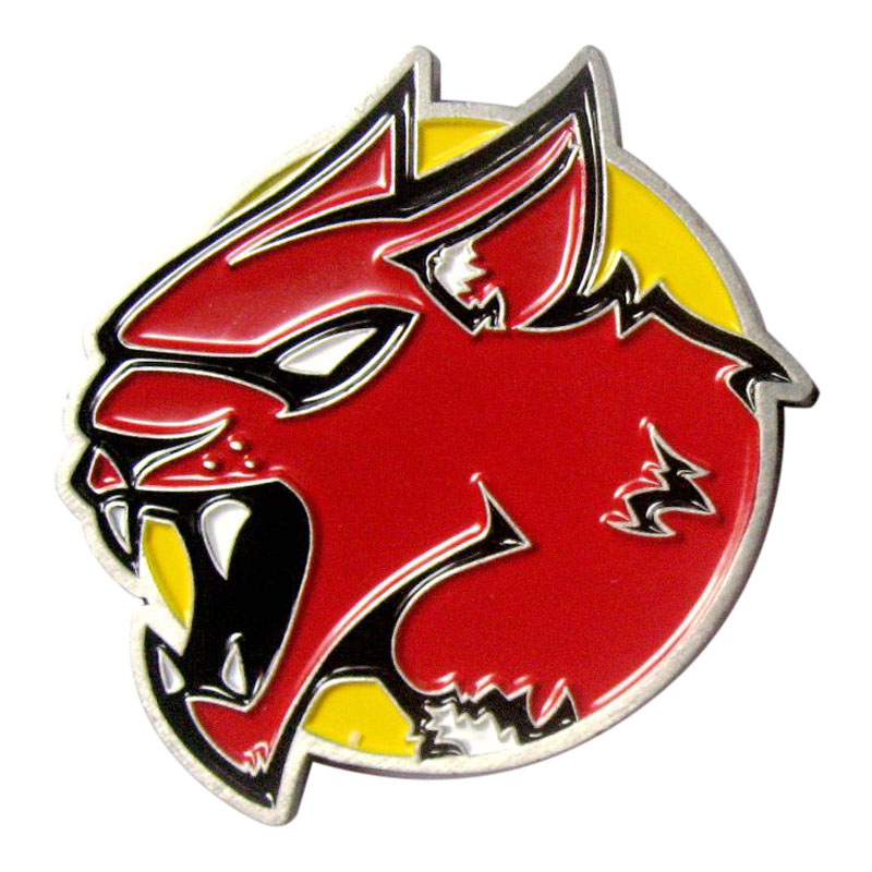 57 IS Command Unique Challenge Coin