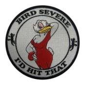 Laughlin AFB SUPT 10-06 Bird Severe