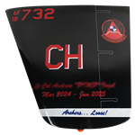 732 OSS MQ-9B Reaper Airplane Tail Flash