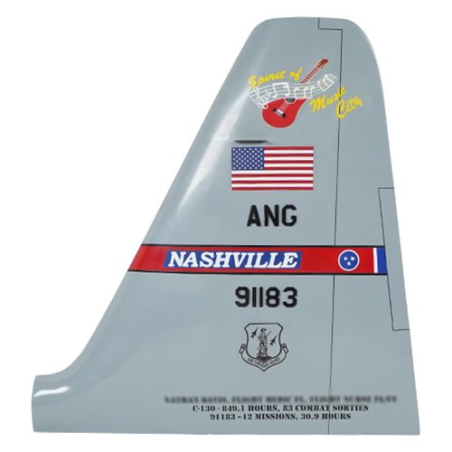 C-130 Airplane Tail Flash - View 2