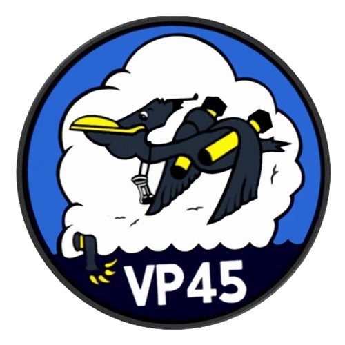 VP-45 P-3C Airplane Tail Flash