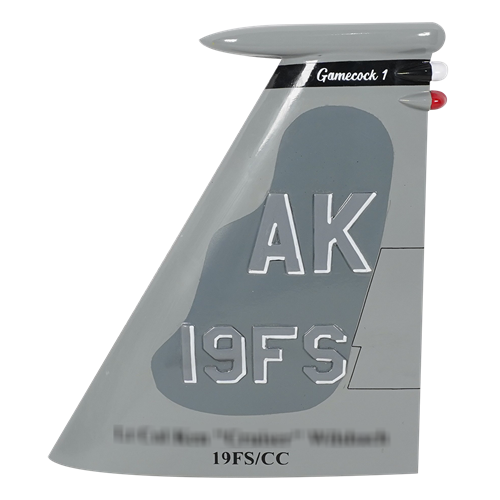 19 FS F-15 Airplane Tail Flash - View 2