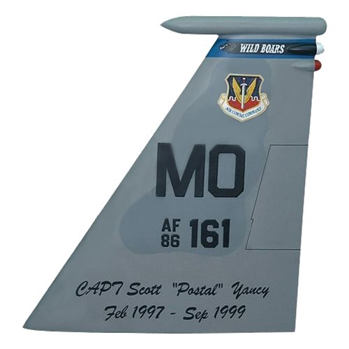 390 FS F-15 Airplane Tail Flash 