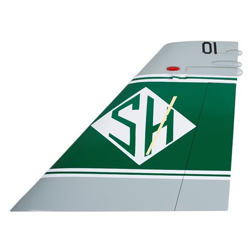VMFAT-101 F/A-18 Airplane Tail Flash - View 2