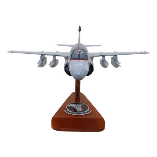 VAQ-141 EA-6B Custom Airplane Model  - View 3