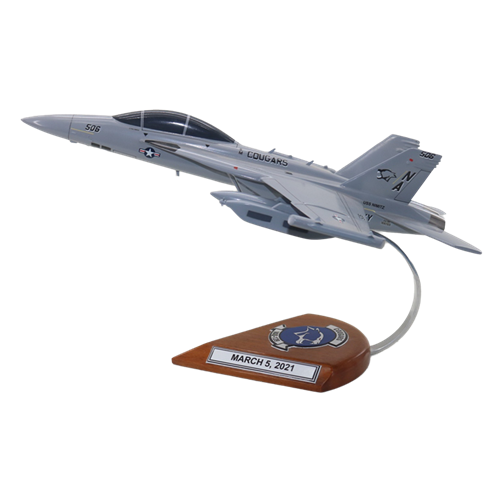VAQ-139 EA-18G Custom Airplane Model  - View 2