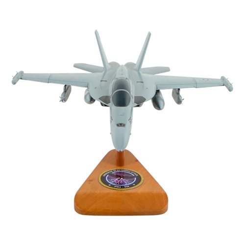 VAQ-139 EA-18G Custom Airplane Model  - View 3