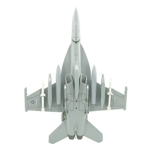 VAQ-209 EA-18G Custom Airplane Model  - View 7