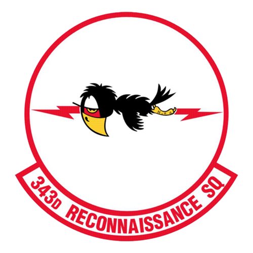 343 RS RC-135S Cobra Ball Custom Airplane Model 