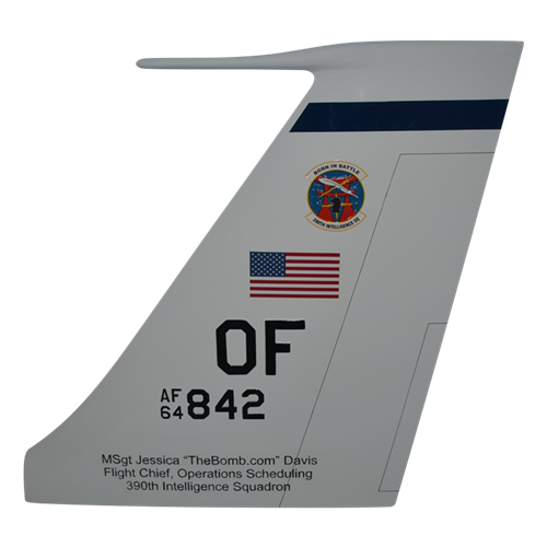 390 IS RC-135 Airplane Tail Flash 