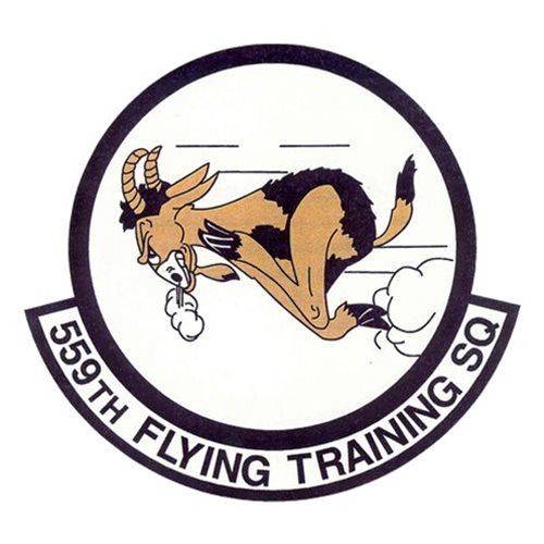 559 FTS F-4 Airplane Tail Flash 