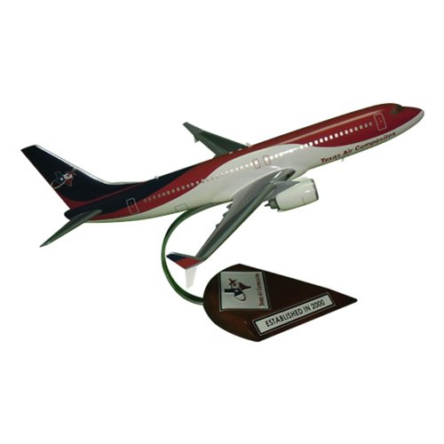 Texas Air Composites B737-800NG Custom Airplane Model  - View 4