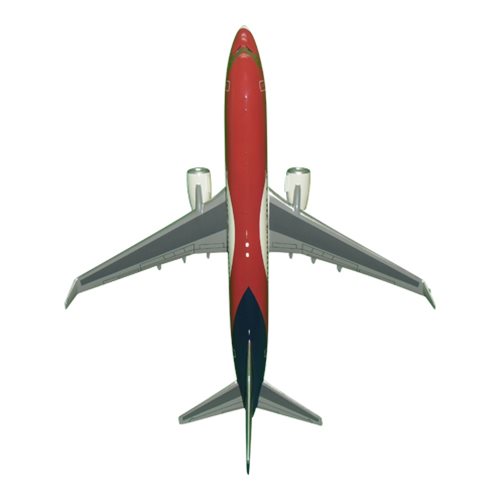 Texas Air Composites B737-800NG Custom Airplane Model  - View 5