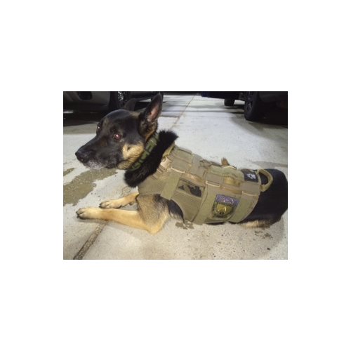 Fairfax County Police K9 Unit Patch  - View 2