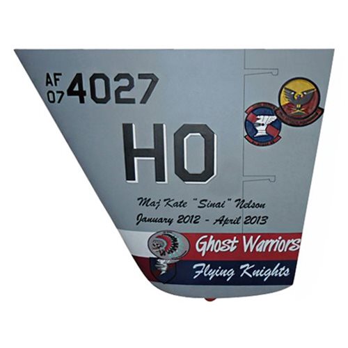Airplane Tail Flash Gift Certificate - View 6