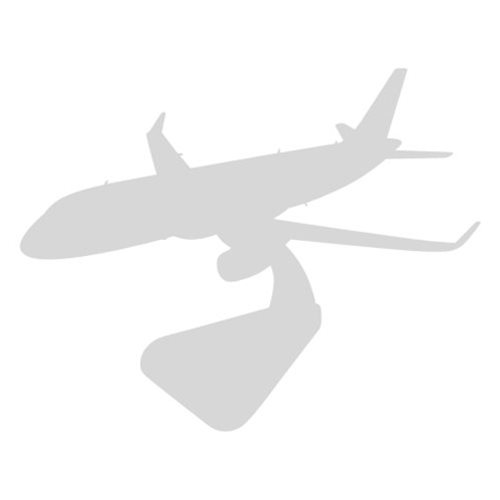 Design Your Own Spirit Airlines Custom Airplane Model