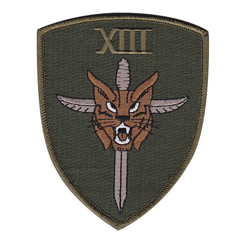  No 13 Squadron RAF Shield OCP Patch