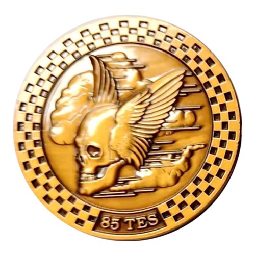 85 TES Challenge Coin - View 2