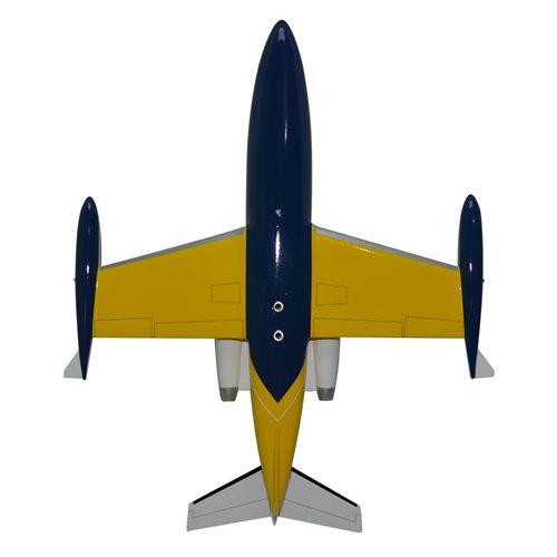 Learjet 24 Custom Airplane Model  - View 6