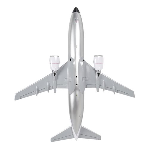Delta Airlines Boeing 737-347 Custom Airplane Model - View 7