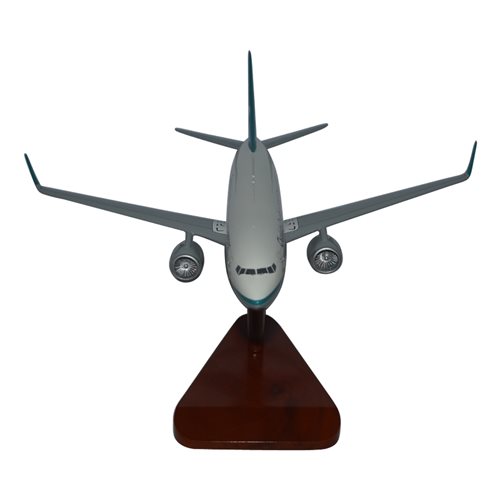 CDIA B737-800 Custom Airplane Model  - View 3