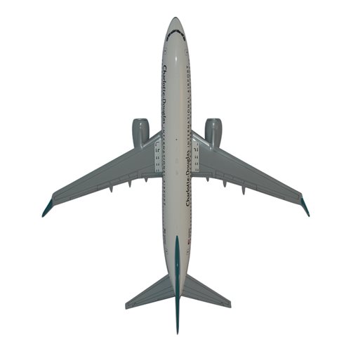 CDIA B737-800 Custom Airplane Model  - View 5