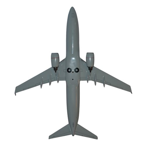 CDIA B737-800 Custom Airplane Model  - View 6