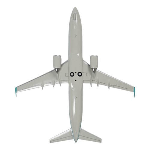 CDIA B737-800 Custom Airplane Model  - View 7