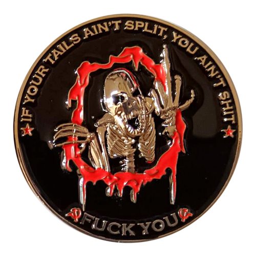 Flanker AMU Challenge Coin - View 2