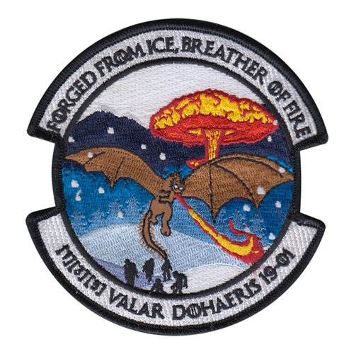 381 TRG Class 19-01 Patch